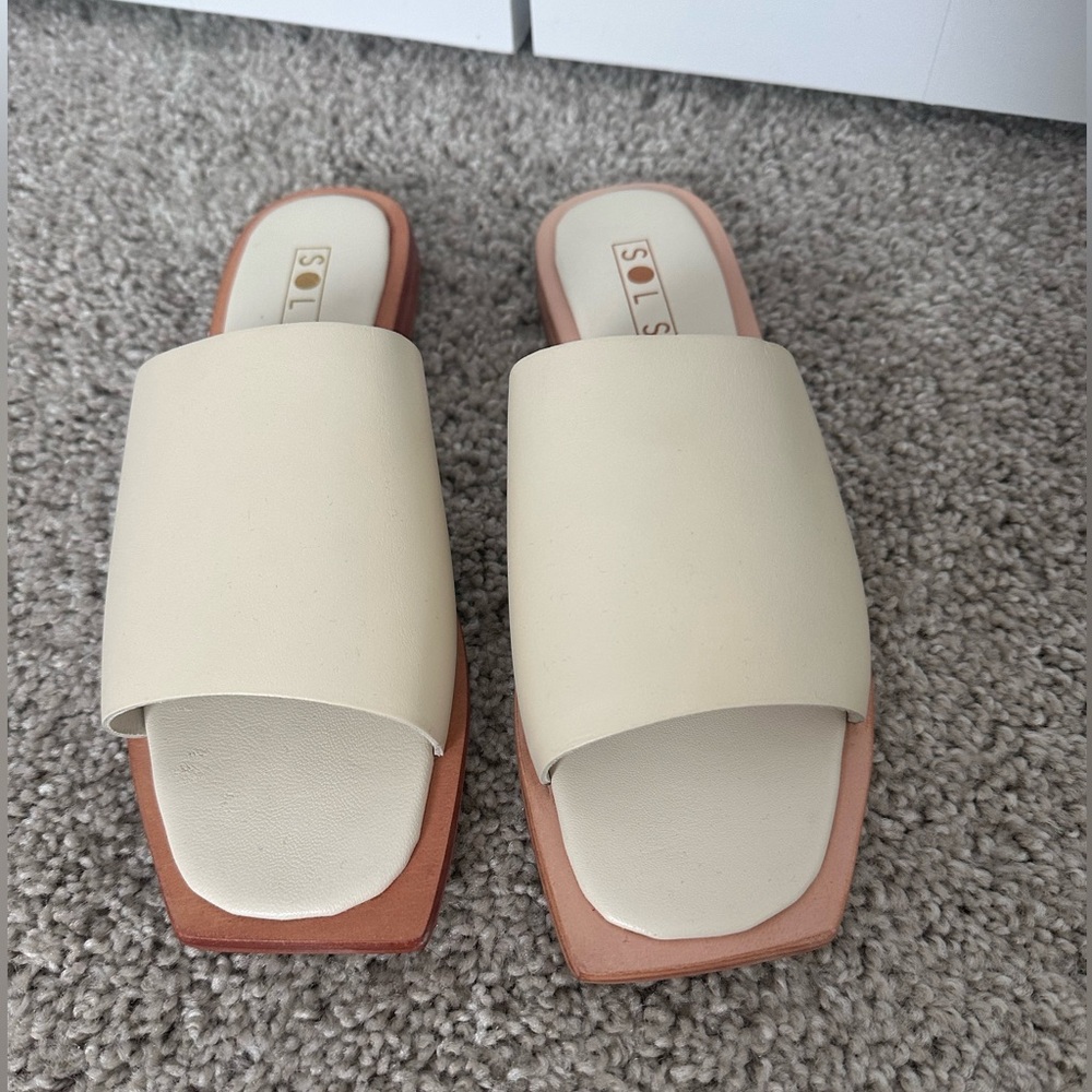Sol sana mila slide